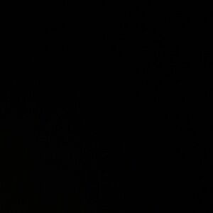 Meet your Posher, Kami